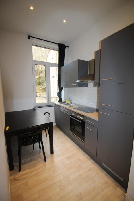 Appartement 45 m² à Liège Botanique / rue Saint-Gilles / Jonfosse