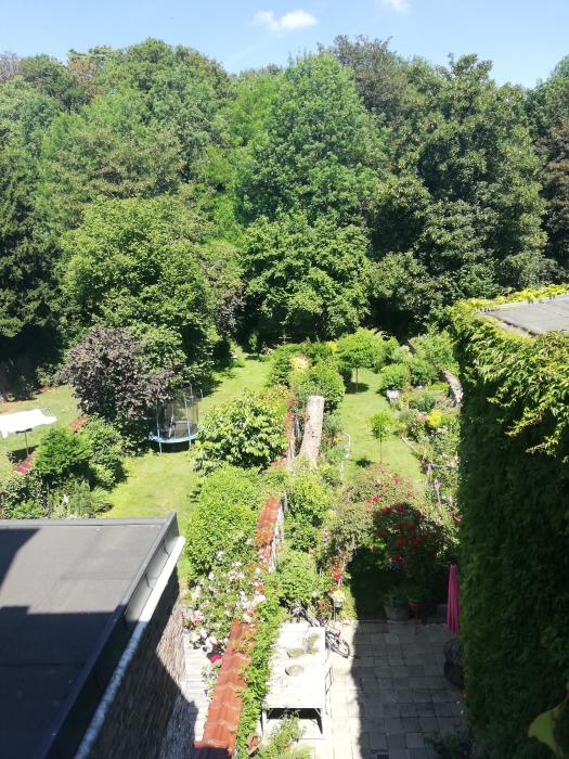 Kot chez l'habitant