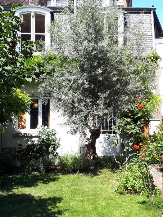Kot 22 m² à Liège Outremeuse
