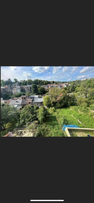 colocation 250 m² à Liège Sainte-Walburge