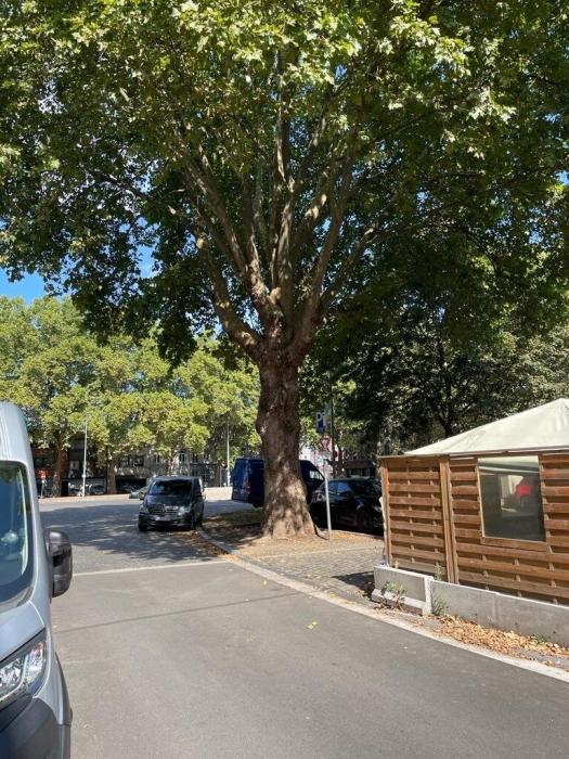 Kot 110 m² à Liège Outremeuse