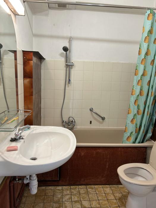salle de bain (evier, bain,wc)
