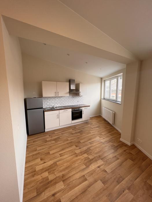 Apartment 65 m² in Liege Botanique / rue Saint-Gilles / Jonfosse