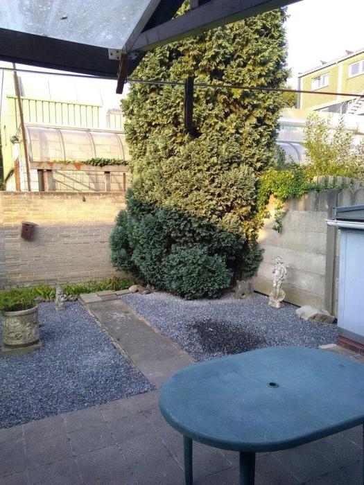 Jardin
