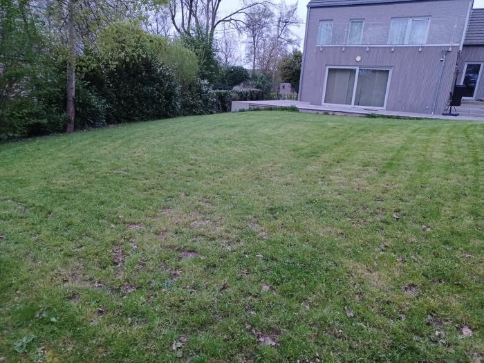 Jardin
