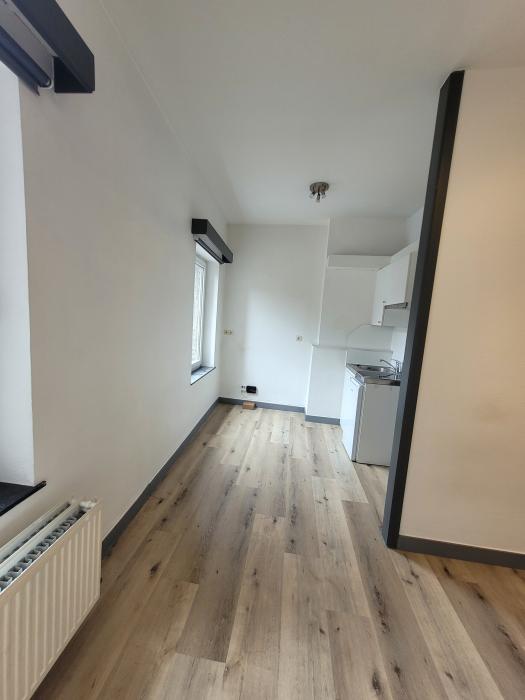 单人间 20 m² 在 Liege Botanique / rue Saint-Gilles / Jonfosse