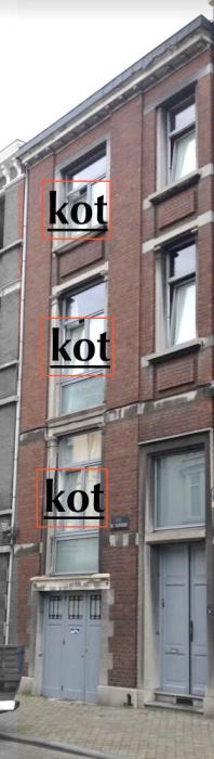 Kot