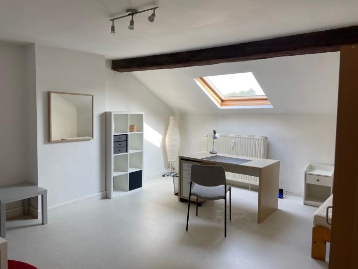 Kot 20 m² in Luik Botanique / rue Saint-Gilles / Jonfosse