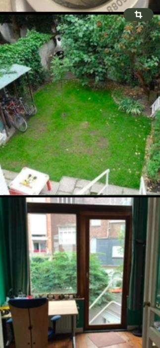 Jardin