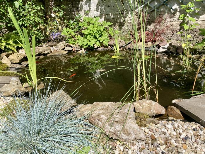 jardin