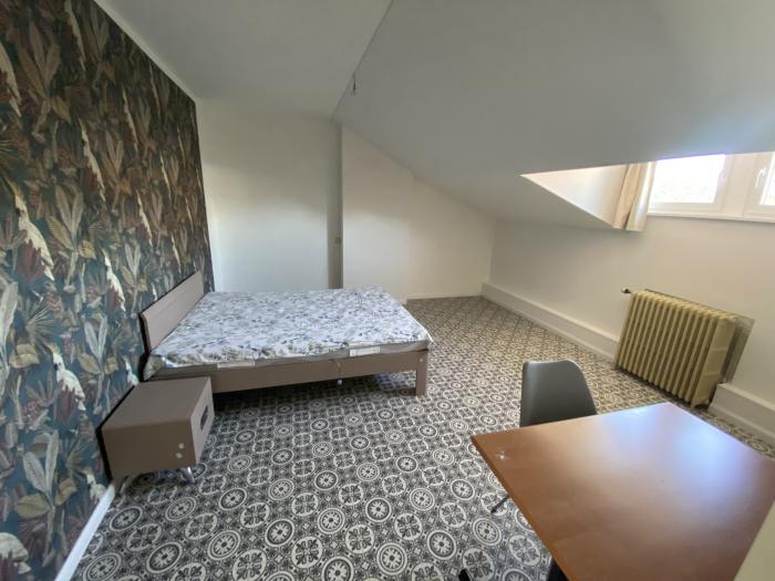 Chambre Jungle - 3