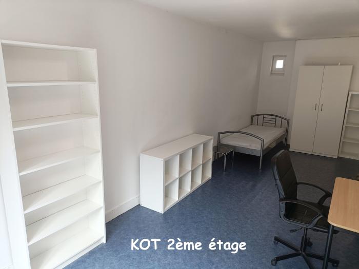 Kot