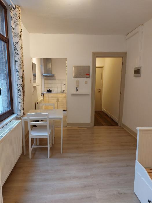 单人间 20 m² 在 Liege Botanique / rue Saint-Gilles / Jonfosse