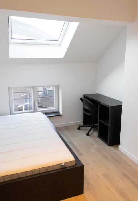 Shared housing 300 m² in Liege Botanique / rue Saint-Gilles / Jonfosse