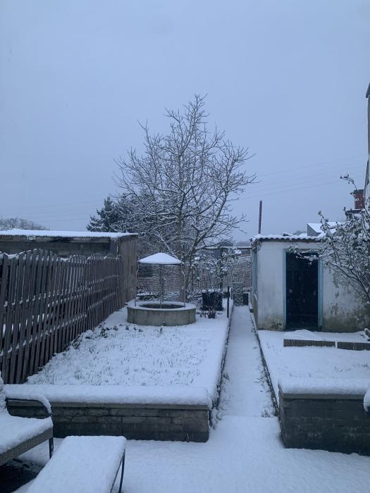 Jardin sous la neige