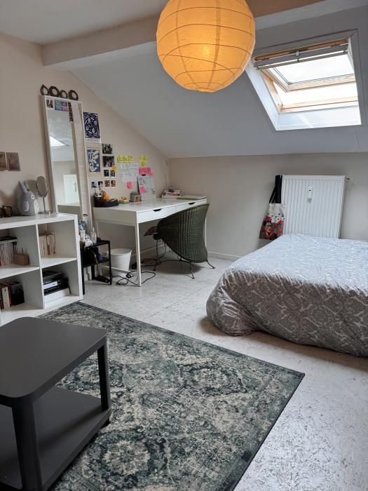 Room in owner's house