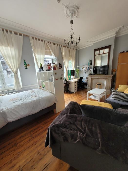 与房东合租 25 m² 在 Liege Botanique / rue Saint-Gilles / Jonfosse