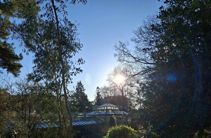 Jardin Botanique
