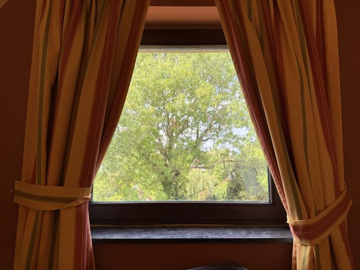 Room in owner's house