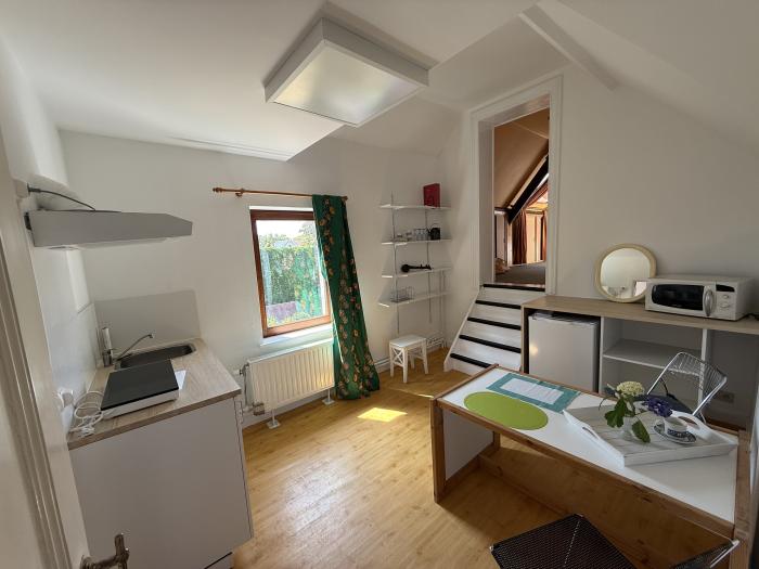 Room in owner's house