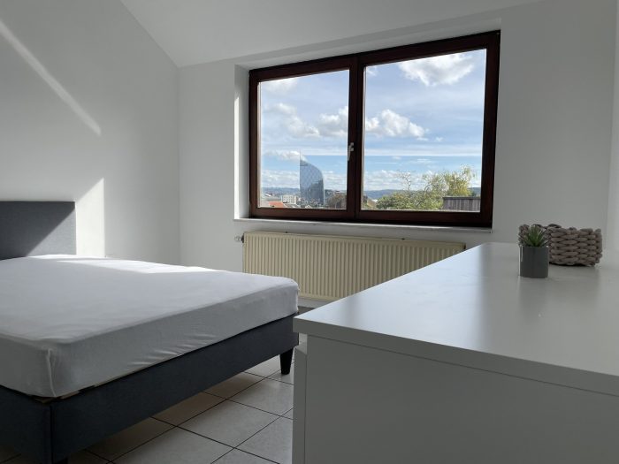 Grande chambre