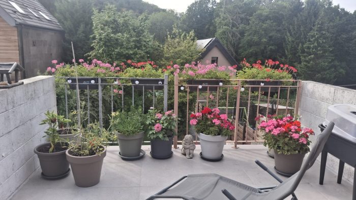 Kot chez l'habitant