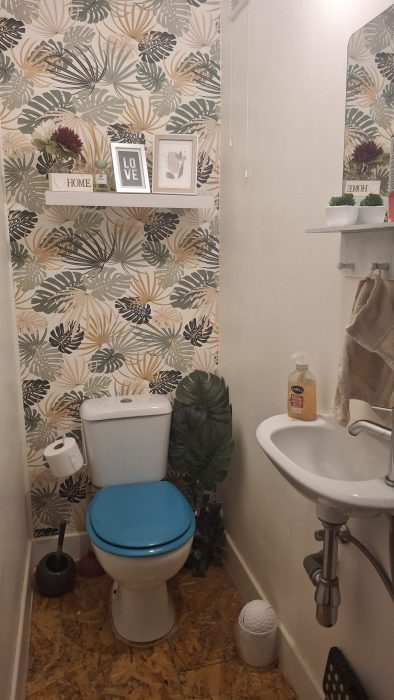 Kot chez l'habitant