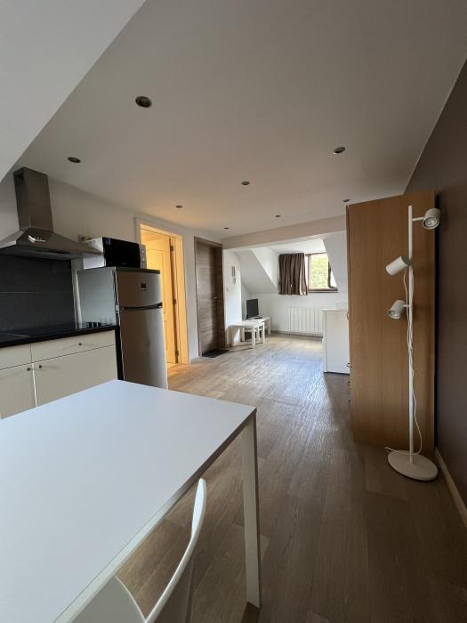 Studio 30 m² in Liege