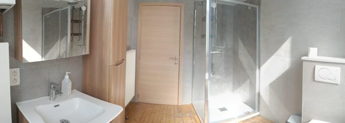 Salle de douche 1