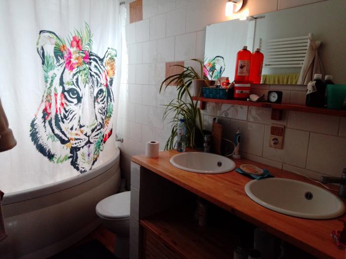 Salle de Bain