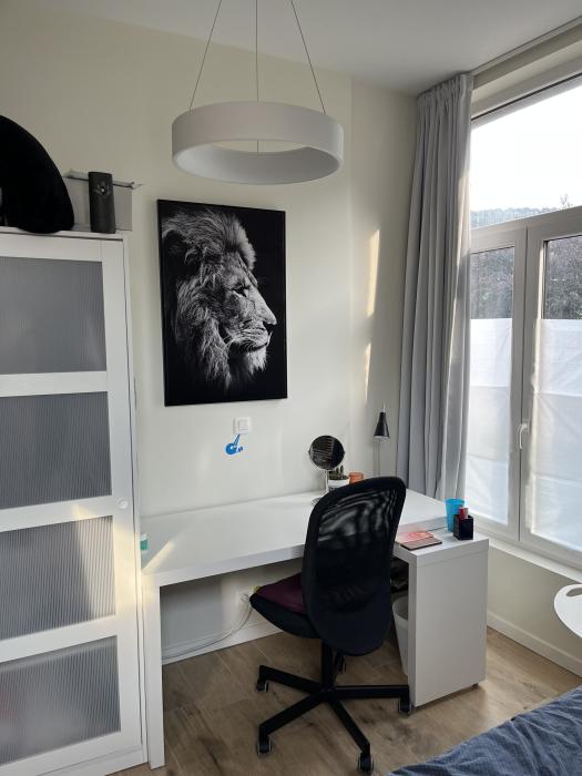 coin bureau