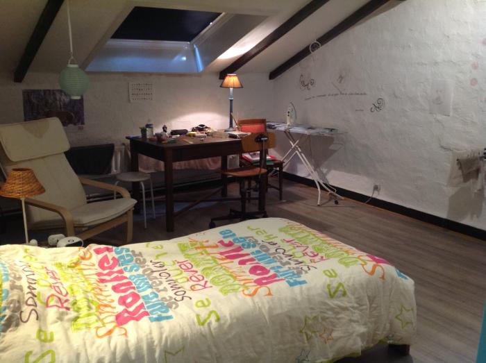 kot chez l'habitant 20 m² à Liège Botanique / rue Saint-Gilles / Jonfosse