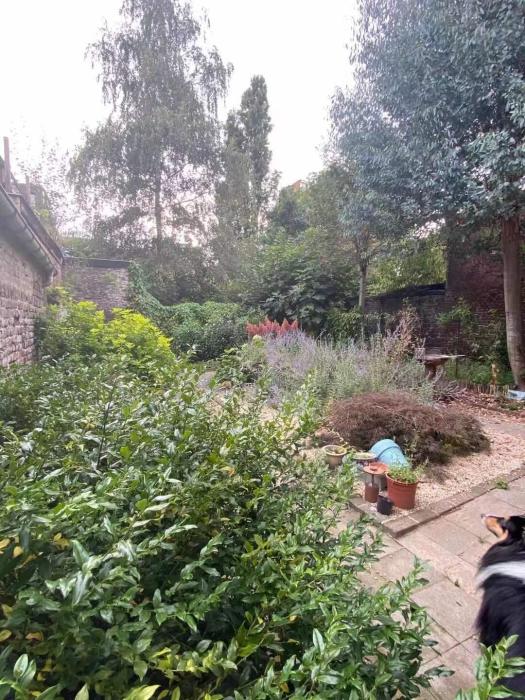 Kot chez l'habitant