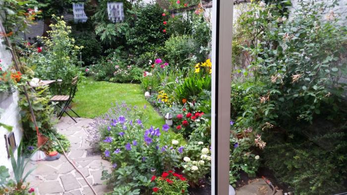 jardin