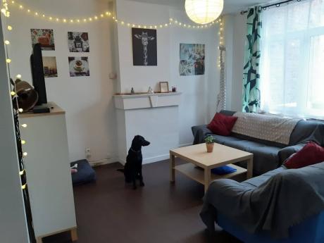 Kot 18 m² in Omgeving Luik
