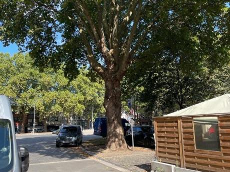 kot 110 m² à Liège Outremeuse