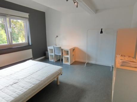Kot bij bewoner 14 m² in Luik Botanique / rue Saint-Gilles / Jonfosse
