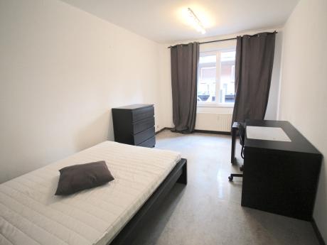Kot 300 m² à Liège Ville