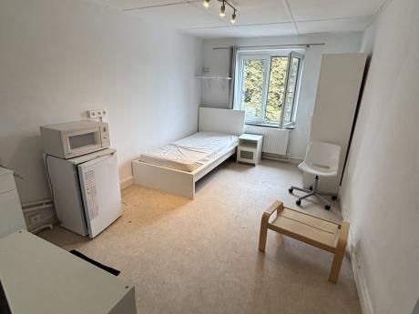 Co-locatie 130 m² in Luik Botanique / rue Saint-Gilles / Jonfosse