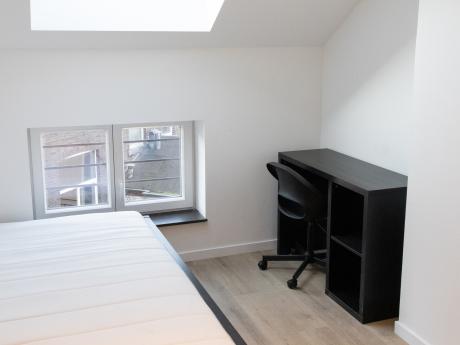 Shared housing 300 m² in Liege Botanique / rue Saint-Gilles / Jonfosse