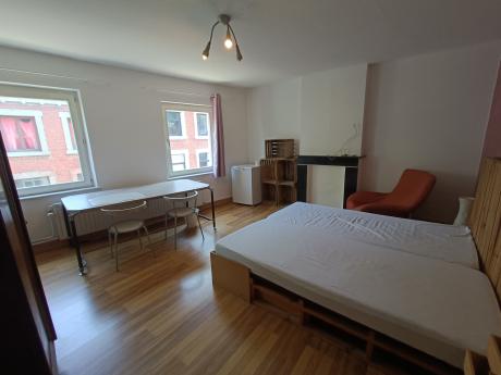 Kot bij bewoner 35 m² in Luik Botanique / rue Saint-Gilles / Jonfosse