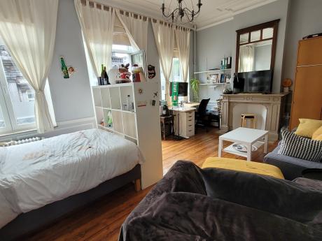 与房东合租 25 m² 在 Liege Botanique / rue Saint-Gilles / Jonfosse